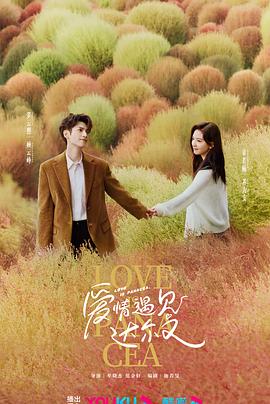 动态企业网站如何优化